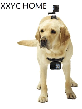 Определя каишка за спортна камера с малко куче е подходящ за камери серия GoPro.